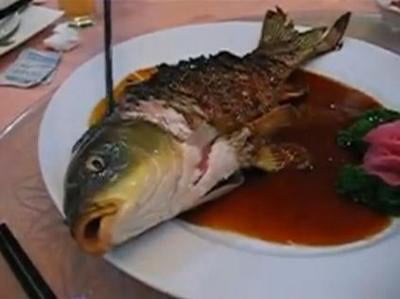 Yin and Yang Fish – A Controversial Dish That’s Both Dead and Alive